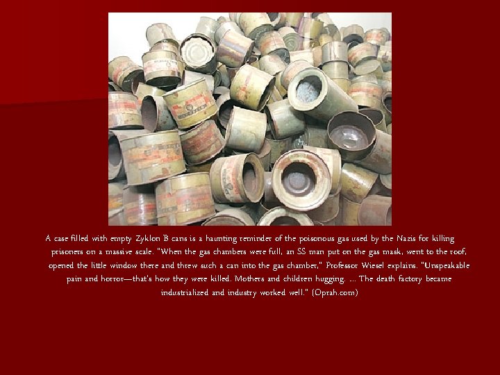 A case filled with empty Zyklon B cans is a haunting reminder of the