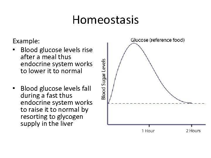 Homeostasis Example: • Blood glucose levels rise after a meal thus endocrine system works Homeostasis Example: • Blood glucose levels rise after a meal thus endocrine system works