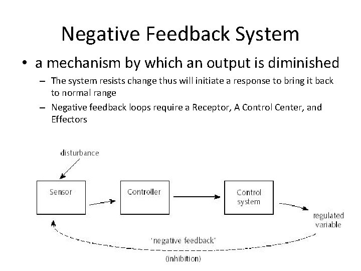 Negative Feedback System • a mechanism by which an output is diminished – The Negative Feedback System • a mechanism by which an output is diminished – The