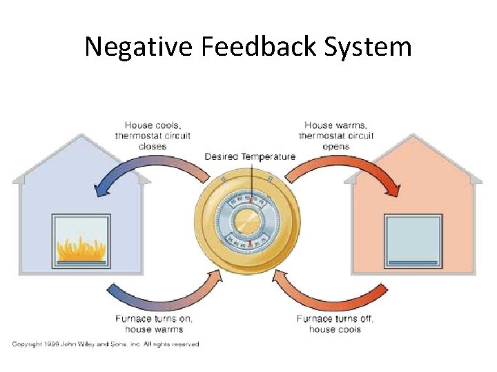 Negative Feedback System Negative Feedback System