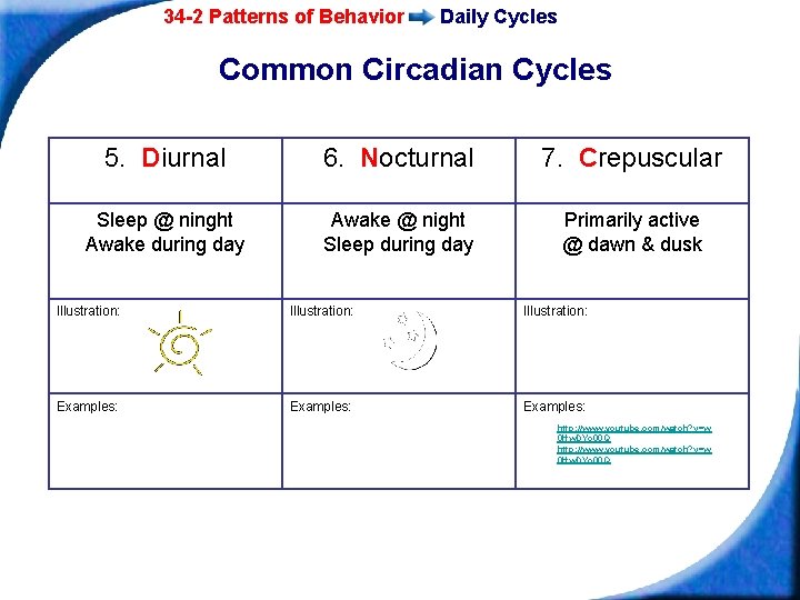 34 -2 Patterns of Behavior Daily Cycles Common Circadian Cycles 5. Diurnal 6. Nocturnal