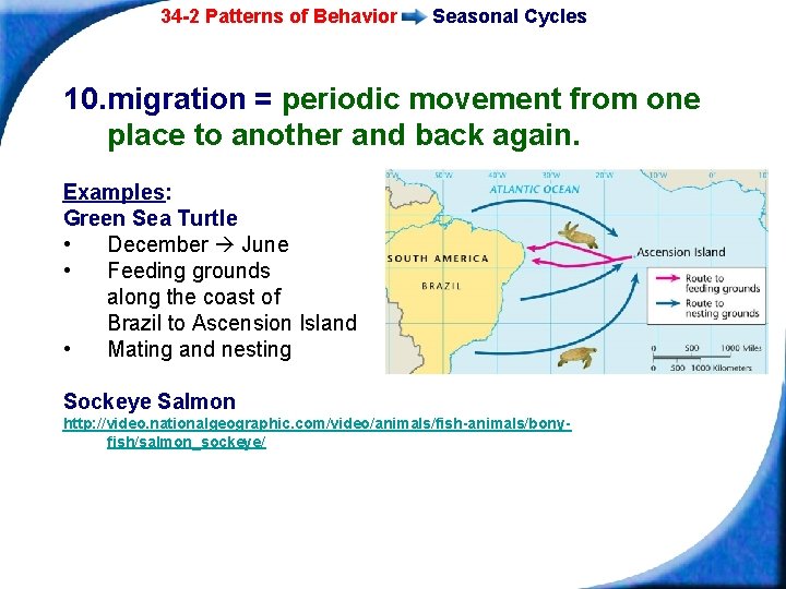 34 -2 Patterns of Behavior Seasonal Cycles 10. migration = periodic movement from one