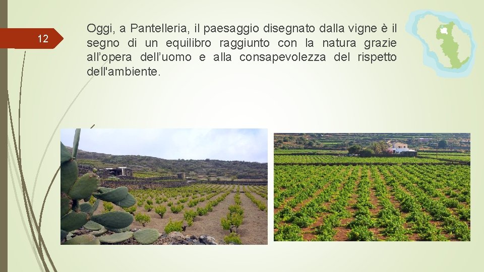 12 Oggi, a Pantelleria, il paesaggio disegnato dalla vigne è il segno di un