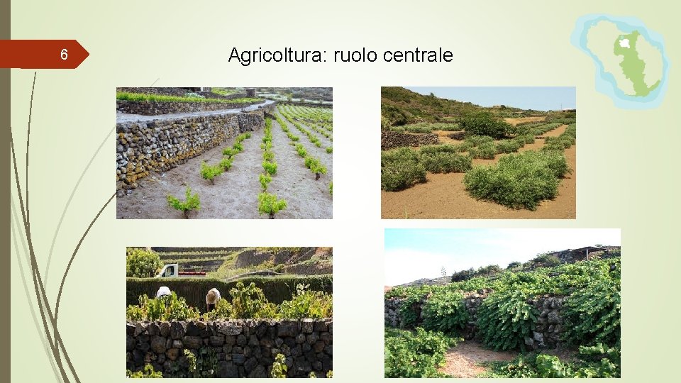 6 Agricoltura: ruolo centrale 