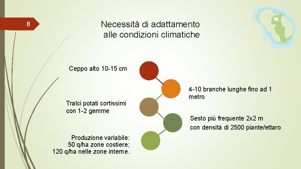 8 Necessità di adattamento alle condizioni climatiche Ceppo alto 10 -15 cm Tralci potati