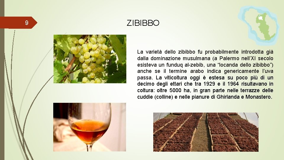 9 ZIBIBBO La varietà dello zibibbo fu probabilmente introdotta già dalla dominazione musulmana (a