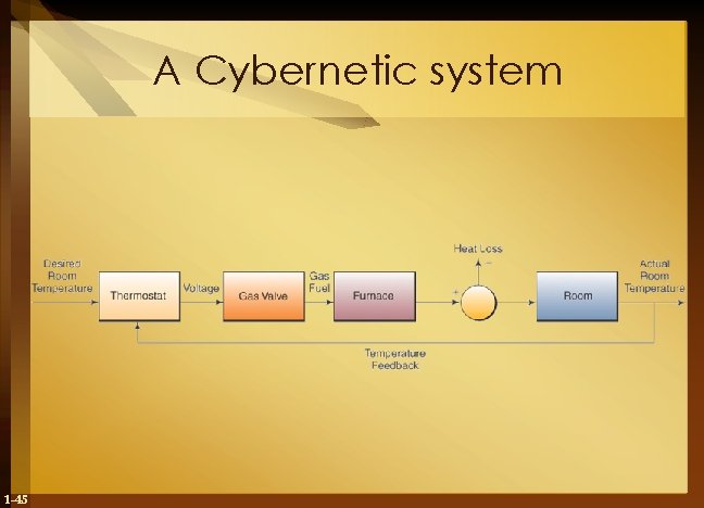 A Cybernetic system 1 -45 