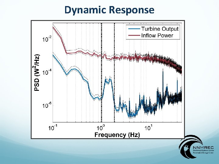 Dynamic Response 