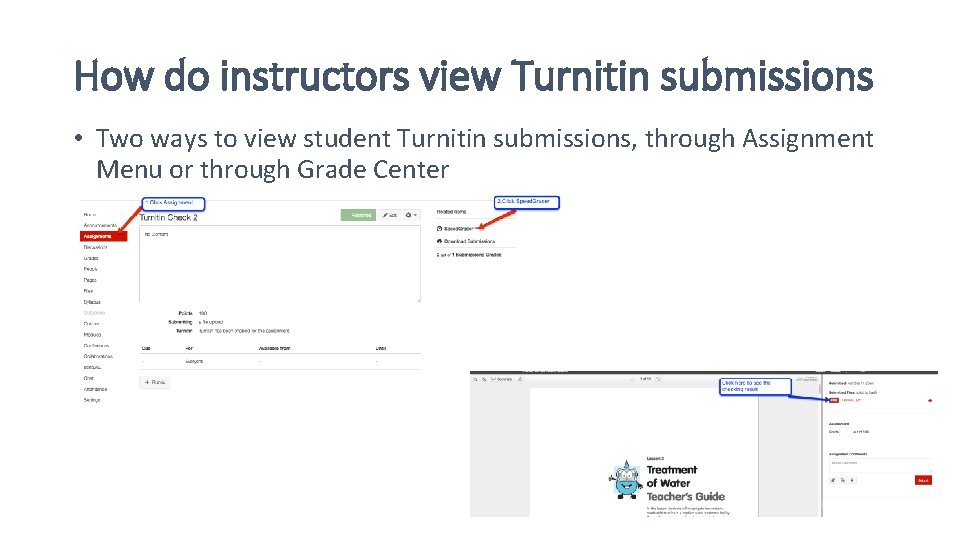 How do instructors view Turnitin submissions • Two ways to view student Turnitin submissions,