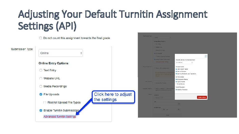 Adjusting Your Default Turnitin Assignment Settings (API) 