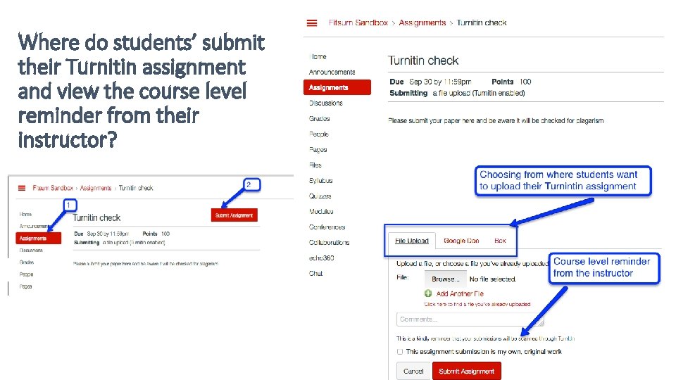 Where do students’ submit their Turnitin assignment and view the course level reminder from