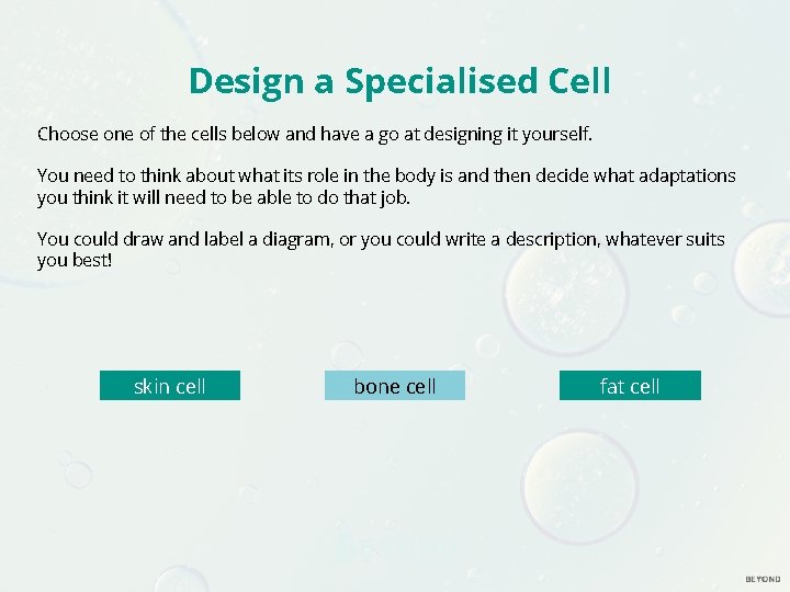 Design a Specialised Cell Choose one of the cells below and have a go