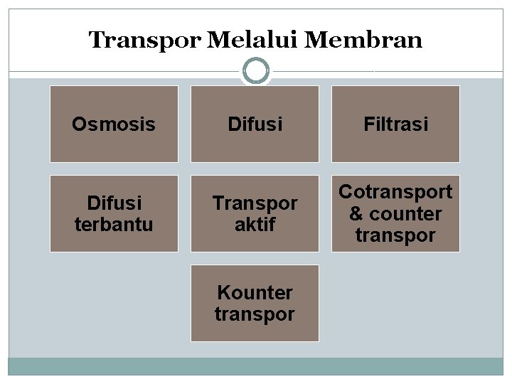 Transpor Melalui Membran Osmosis Difusi terbantu Difusi Filtrasi Transpor aktif Cotransport & counter transpor