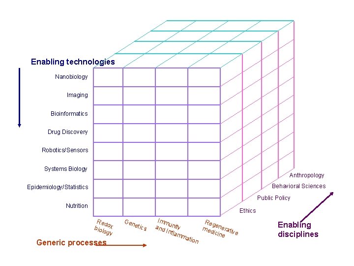 Enabling technologies Nanobiology Imaging Bioinformatics Drug Discovery Robotics/Sensors Systems Biology Anthropology Behavioral Sciences Epidemiology/Statistics