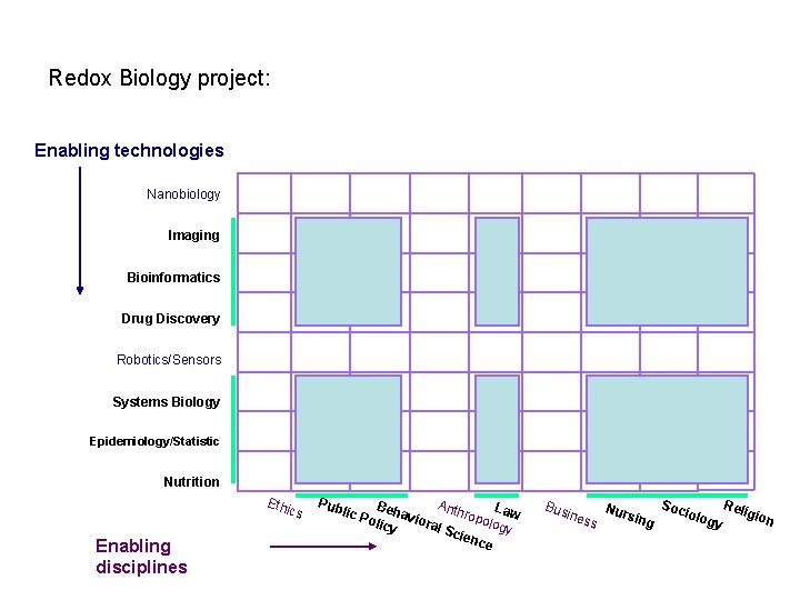 Redox Biology project: Enabling technologies Nanobiology Imaging Bioinformatics Drug Discovery Robotics/Sensors Systems Biology Epidemiology/Statistic