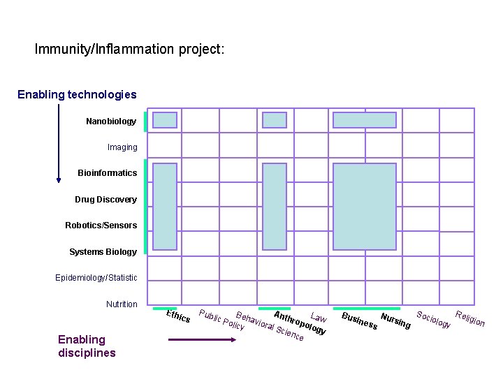 Immunity/Inflammation project: Enabling technologies Nanobiology Imaging Bioinformatics Drug Discovery Robotics/Sensors Systems Biology Epidemiology/Statistic Nutrition