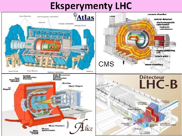 Eksperymenty LHC CMS 