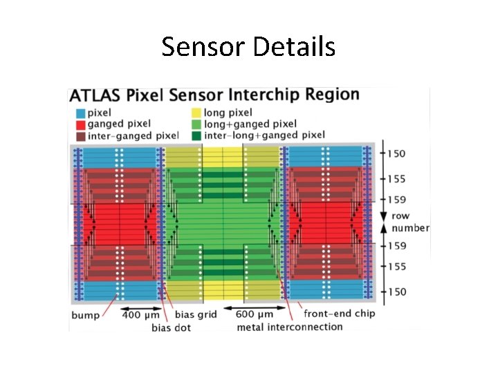 Sensor Details 