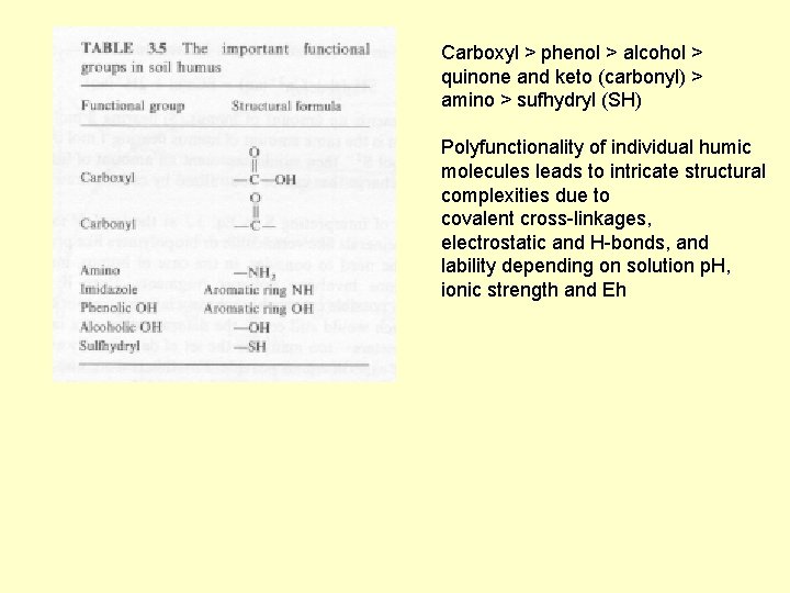 Carboxyl > phenol > alcohol > quinone and keto (carbonyl) > amino > sufhydryl