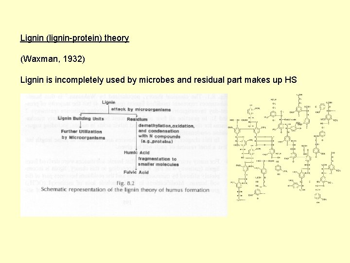 Lignin (lignin-protein) theory (Waxman, 1932) Lignin is incompletely used by microbes and residual part