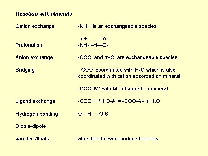 Reaction with Minerals Cation exchange -NH 3+ is an exchangeable species Protonation δ+ δ-NH