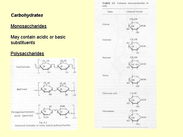 Carbohydrates Monosaccharides May contain acidic or basic substituents Polysaccharides 