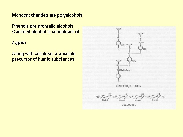 Monosaccharides are polyalcohols Phenols are aromatic alcohols Coniferyl alcohol is constituent of Lignin Along