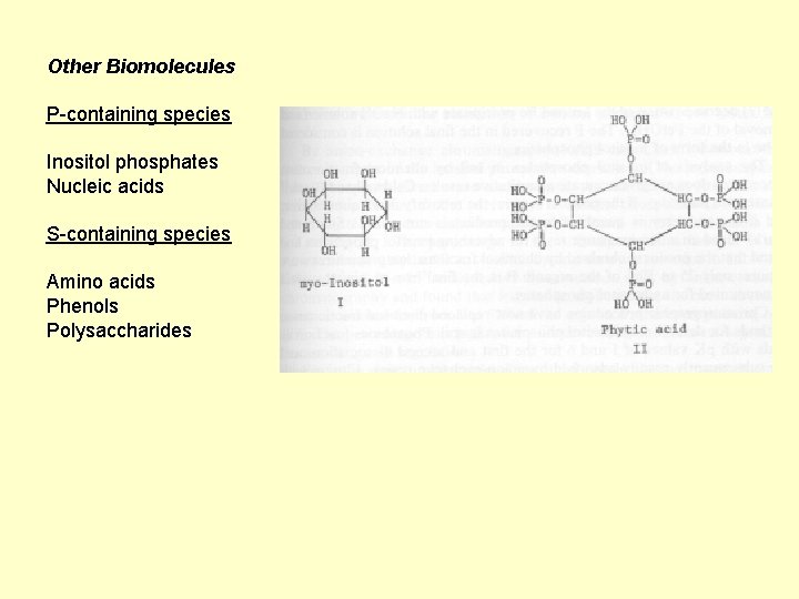 Other Biomolecules P-containing species Inositol phosphates Nucleic acids S-containing species Amino acids Phenols Polysaccharides