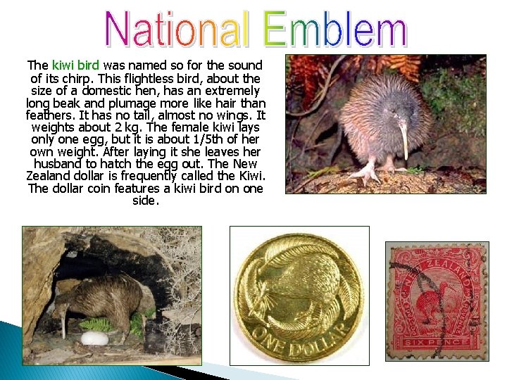 The kiwi bird was named so for the sound of its chirp. This flightless