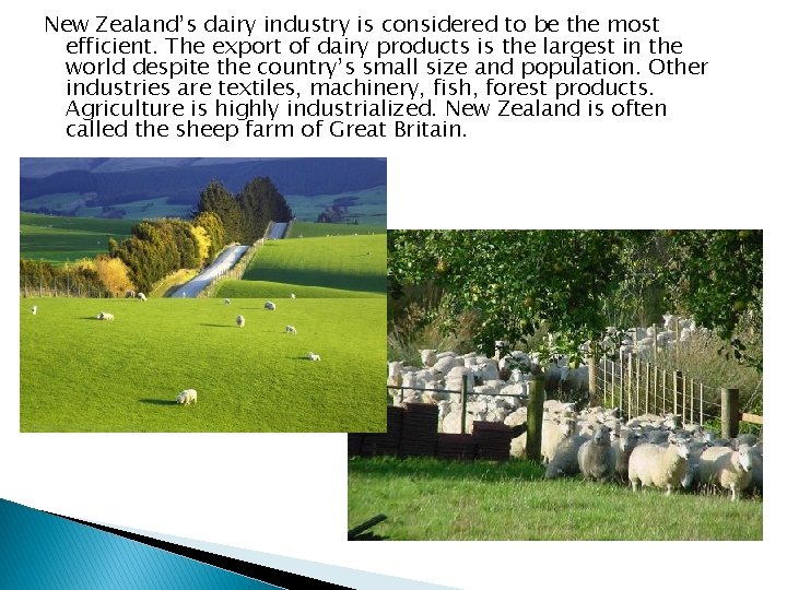 New Zealand’s dairy industry is considered to be the most efficient. The export of