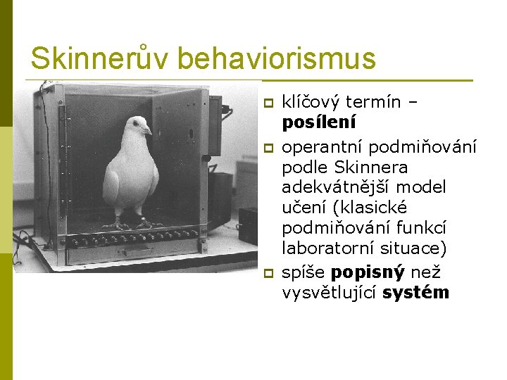 Skinnerův behaviorismus p p p klíčový termín – posílení operantní podmiňování podle Skinnera adekvátnější