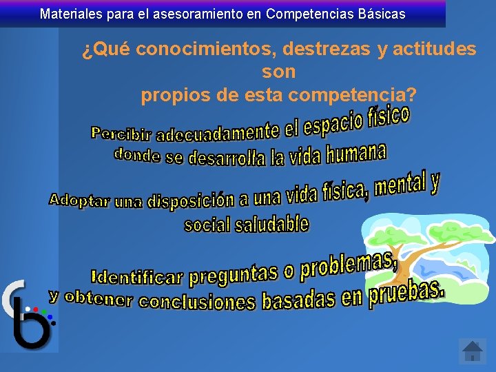 Materiales para el asesoramiento en Competencias Básicas ¿Qué conocimientos, destrezas y actitudes son propios