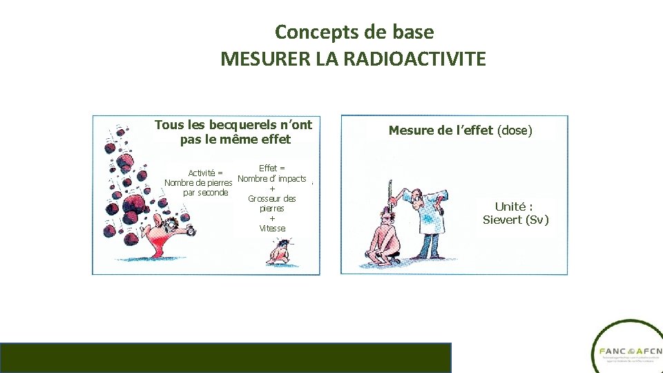 Concepts de base MESURER LA RADIOACTIVITE Tous les becquerels n’ont pas le même effet