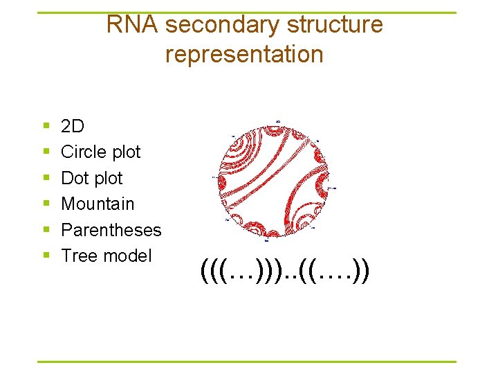 RNA secondary structure representation § § § 2 D Circle plot Dot plot Mountain