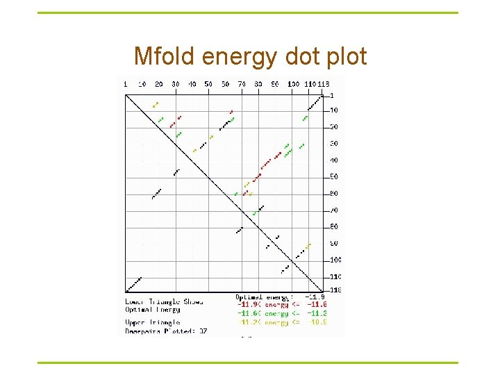 Mfold energy dot plot 