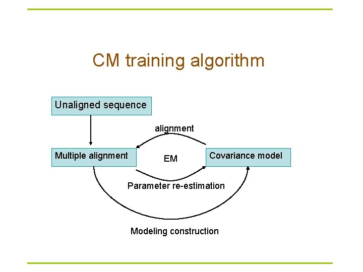 CM training algorithm Unaligned sequence alignment Multiple alignment EM Covariance model Parameter re-estimation Modeling