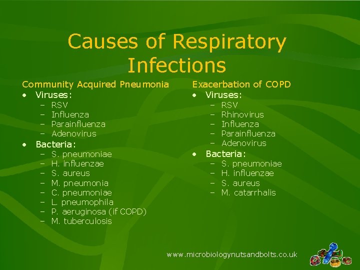 Causes of Respiratory Infections Community Acquired Pneumonia • Viruses: – – RSV Influenza Parainfluenza Causes of Respiratory Infections Community Acquired Pneumonia • Viruses: – – RSV Influenza Parainfluenza