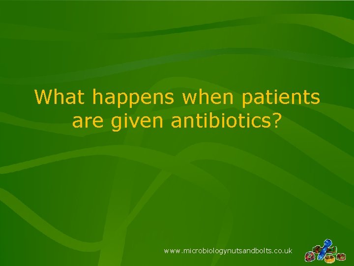What happens when patients are given antibiotics? www. microbiologynutsandbolts. co. uk What happens when patients are given antibiotics? www. microbiologynutsandbolts. co. uk