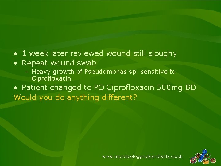  • 1 week later reviewed wound still sloughy • Repeat wound swab –