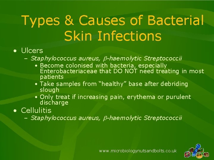 Types & Causes of Bacterial Skin Infections • Ulcers – Staphylococcus aureus, b-haemolytic Streptococcii Types & Causes of Bacterial Skin Infections • Ulcers – Staphylococcus aureus, b-haemolytic Streptococcii
