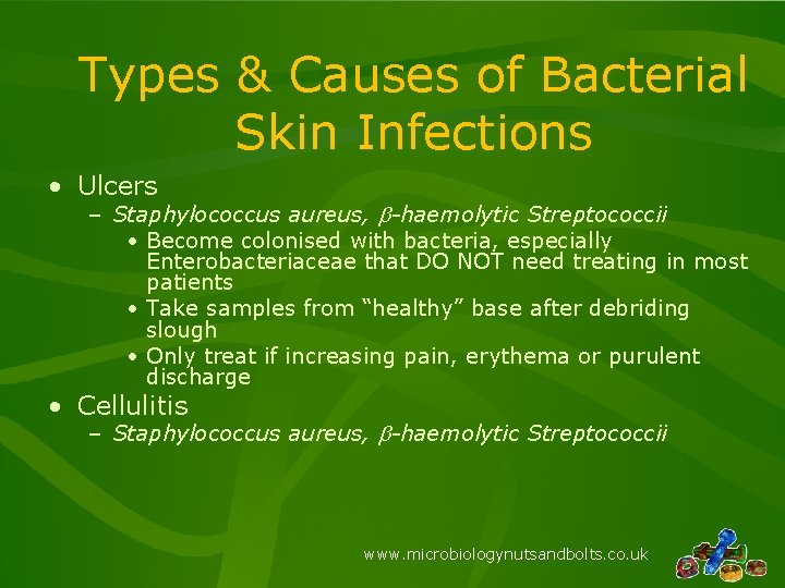 Types & Causes of Bacterial Skin Infections • Ulcers – Staphylococcus aureus, b-haemolytic Streptococcii