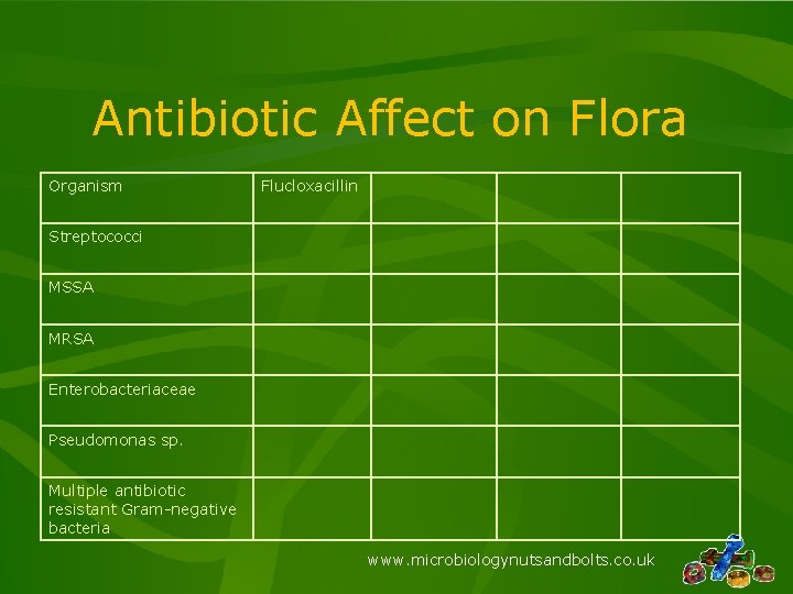 Antibiotic Affect on Flora Organism Flucloxacillin Streptococci MSSA MRSA Enterobacteriaceae Pseudomonas sp. Multiple antibiotic Antibiotic Affect on Flora Organism Flucloxacillin Streptococci MSSA MRSA Enterobacteriaceae Pseudomonas sp. Multiple antibiotic