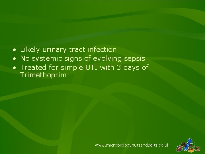• Likely urinary tract infection • No systemic signs of evolving sepsis • • Likely urinary tract infection • No systemic signs of evolving sepsis •