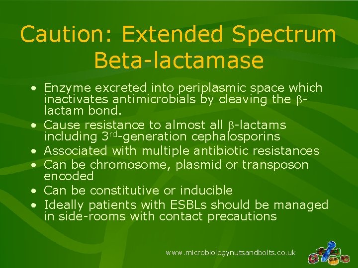 Caution: Extended Spectrum Beta-lactamase • Enzyme excreted into periplasmic space which inactivates antimicrobials by
