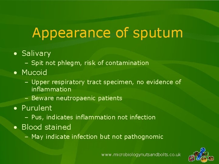 Appearance of sputum • Salivary – Spit not phlegm, risk of contamination • Mucoid