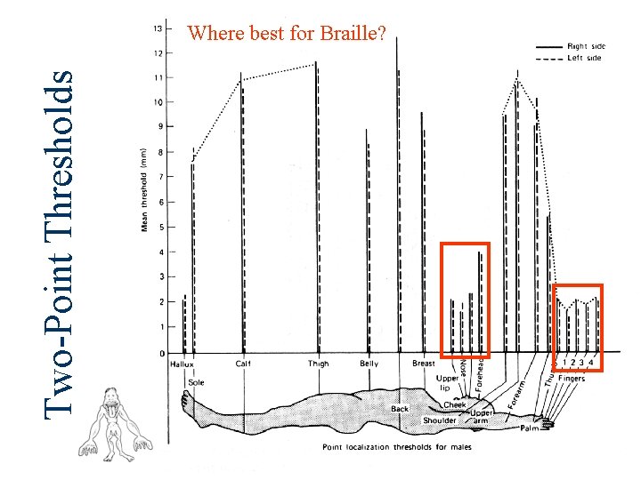 Two-Point Thresholds Where best for Braille? 