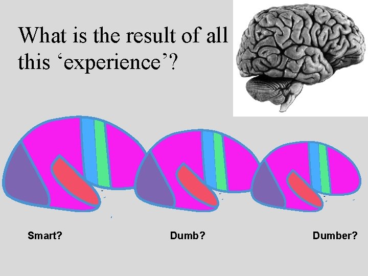 What is the result of all this ‘experience’? Smart? Dumber? 