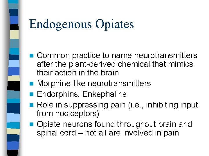 Endogenous Opiates n n n Common practice to name neurotransmitters after the plant-derived chemical