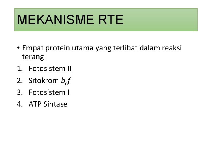 MEKANISME RTE • Empat protein utama yang terlibat dalam reaksi terang: 1. Fotosistem II