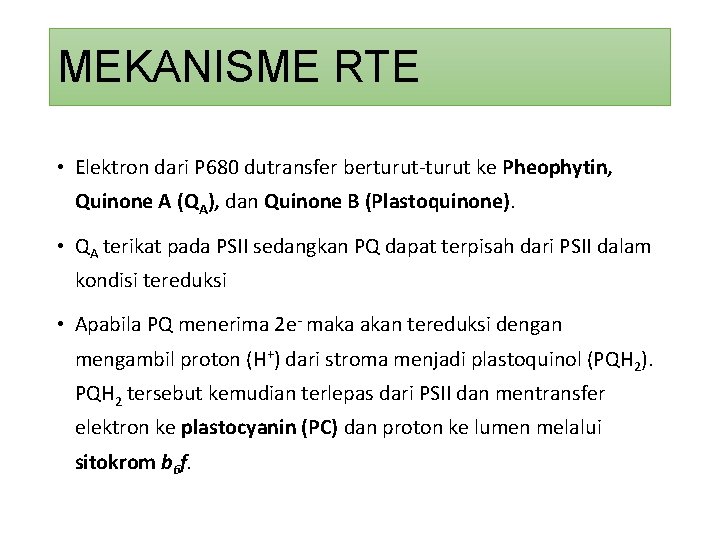 MEKANISME RTE • Elektron dari P 680 dutransfer berturut-turut ke Pheophytin, Quinone A (QA),